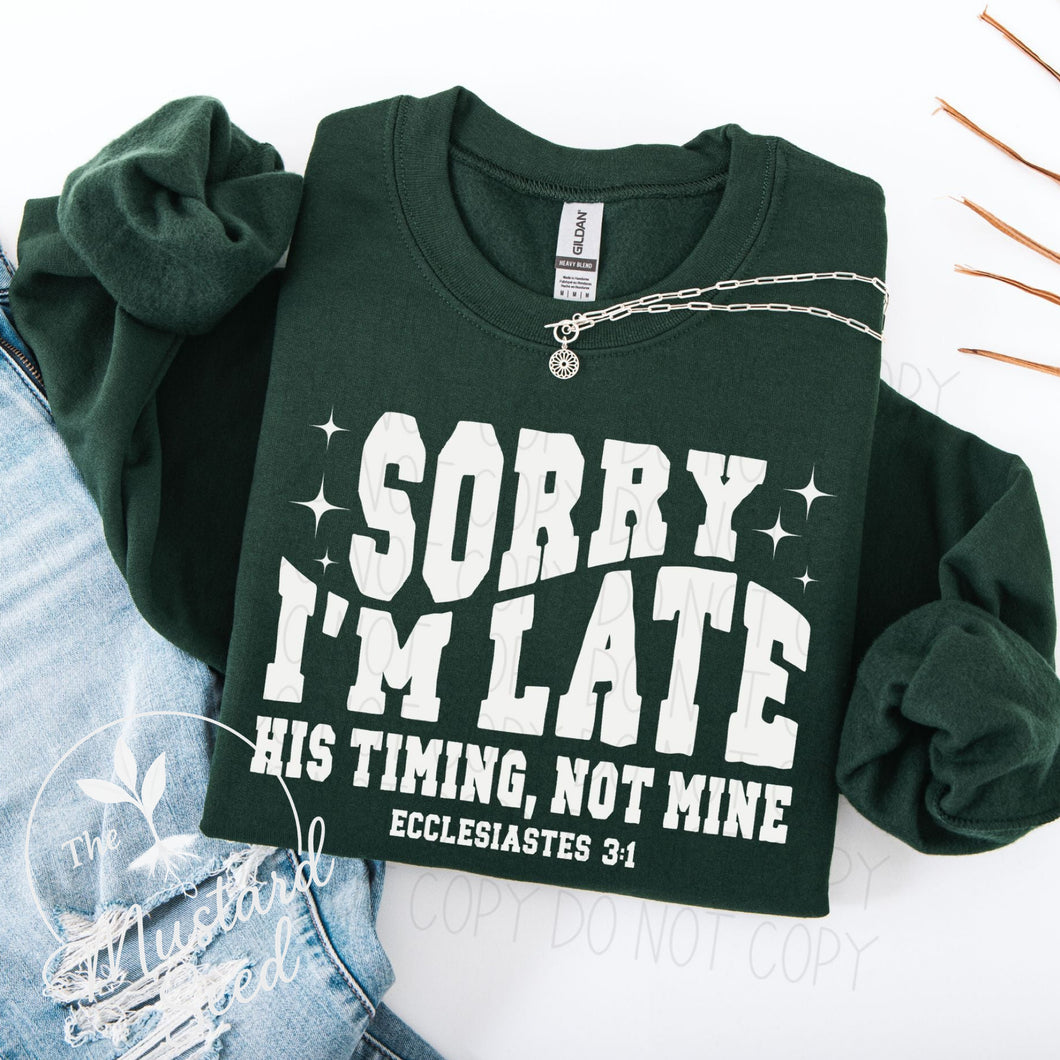 Sorry I’m late - his timing