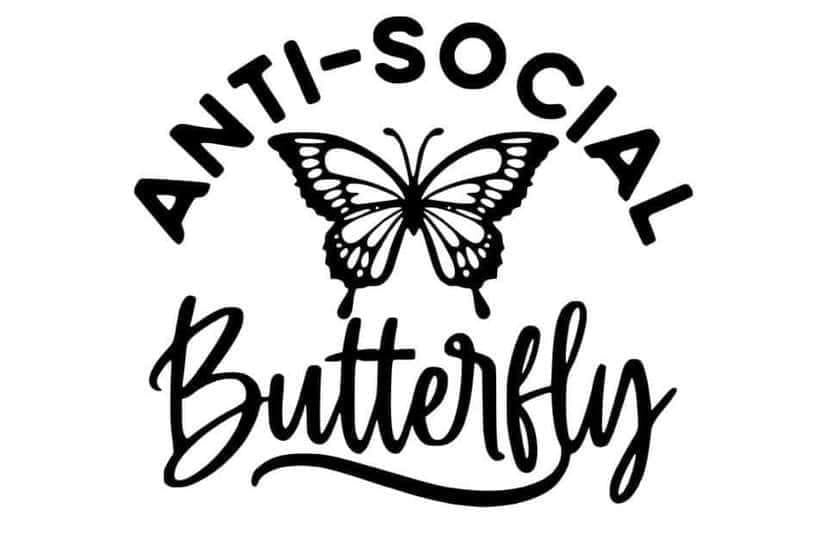 Anti social butterfly decal