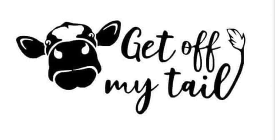 Get off my tail decal